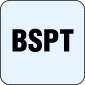 025 - BSPT